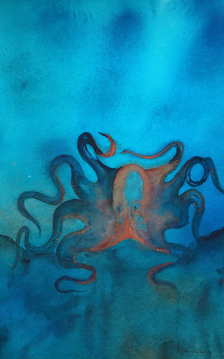 Octopus Watercolour Painting by Rene Sandberg