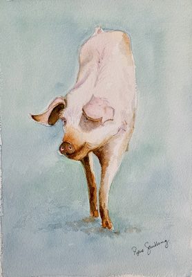 Pig 1 Watercolour Painting by Rene Sandberg